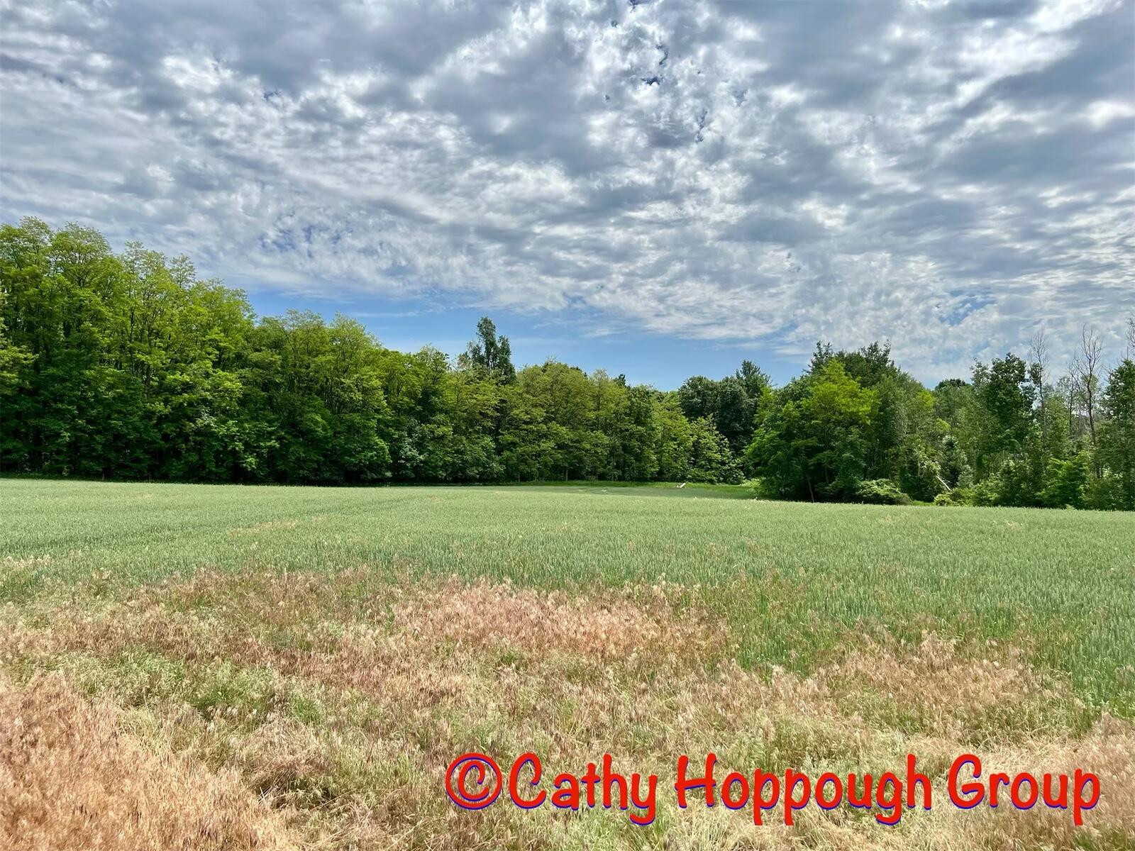 1575 Youngs Road Orleans, MI 48865 - Photo 27 of 41 AD90028F-C8AA-408A-955F-7BA3A3EED3F6