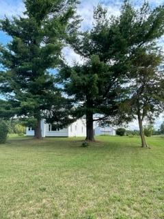 1575 Youngs Road Orleans, MI 48865 - Photo 5 of 41 IMG_2243