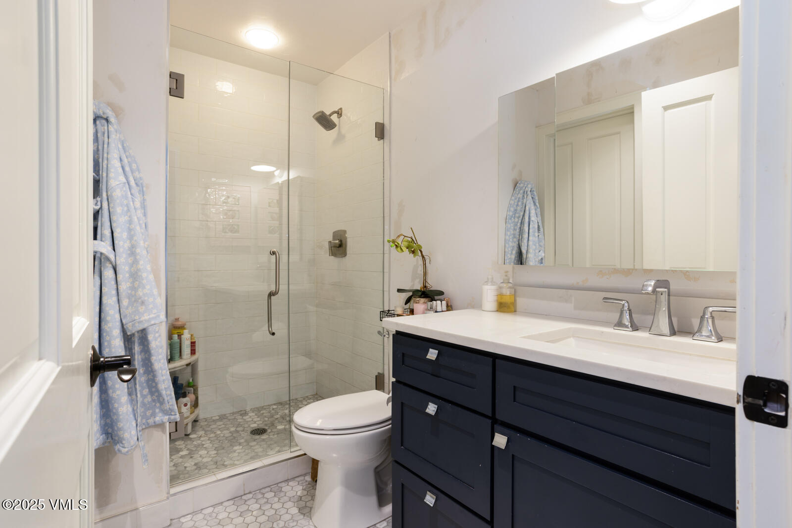 55 Elk Place Edwards, CO 81632 - Photo 33 of 68 a bathroom with a sink a toilet a mirror and shower