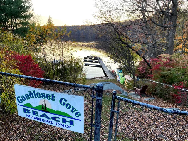 a view of a street sign under a large tree