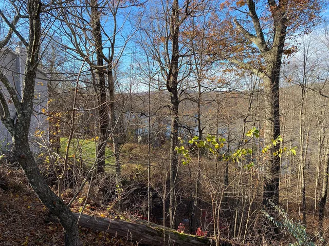 a view of road with trees