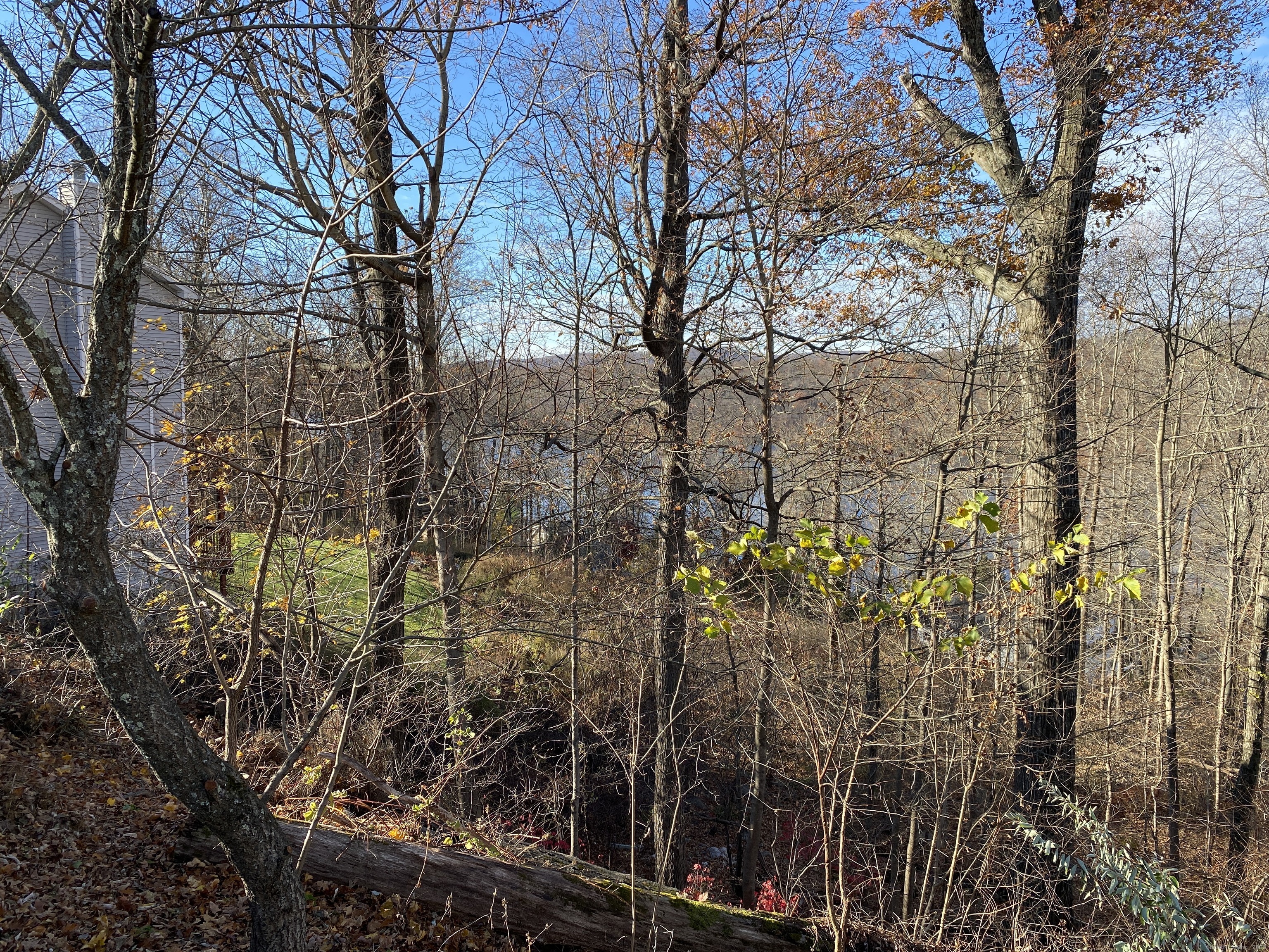 126 Carmen Hill Road New Milford, CT 06776 - Photo 5 of 9 a backyard of a house with lots of green space