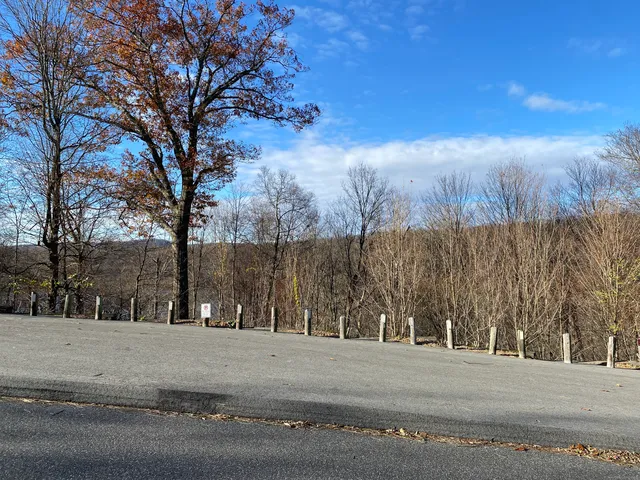 a view of road and trees