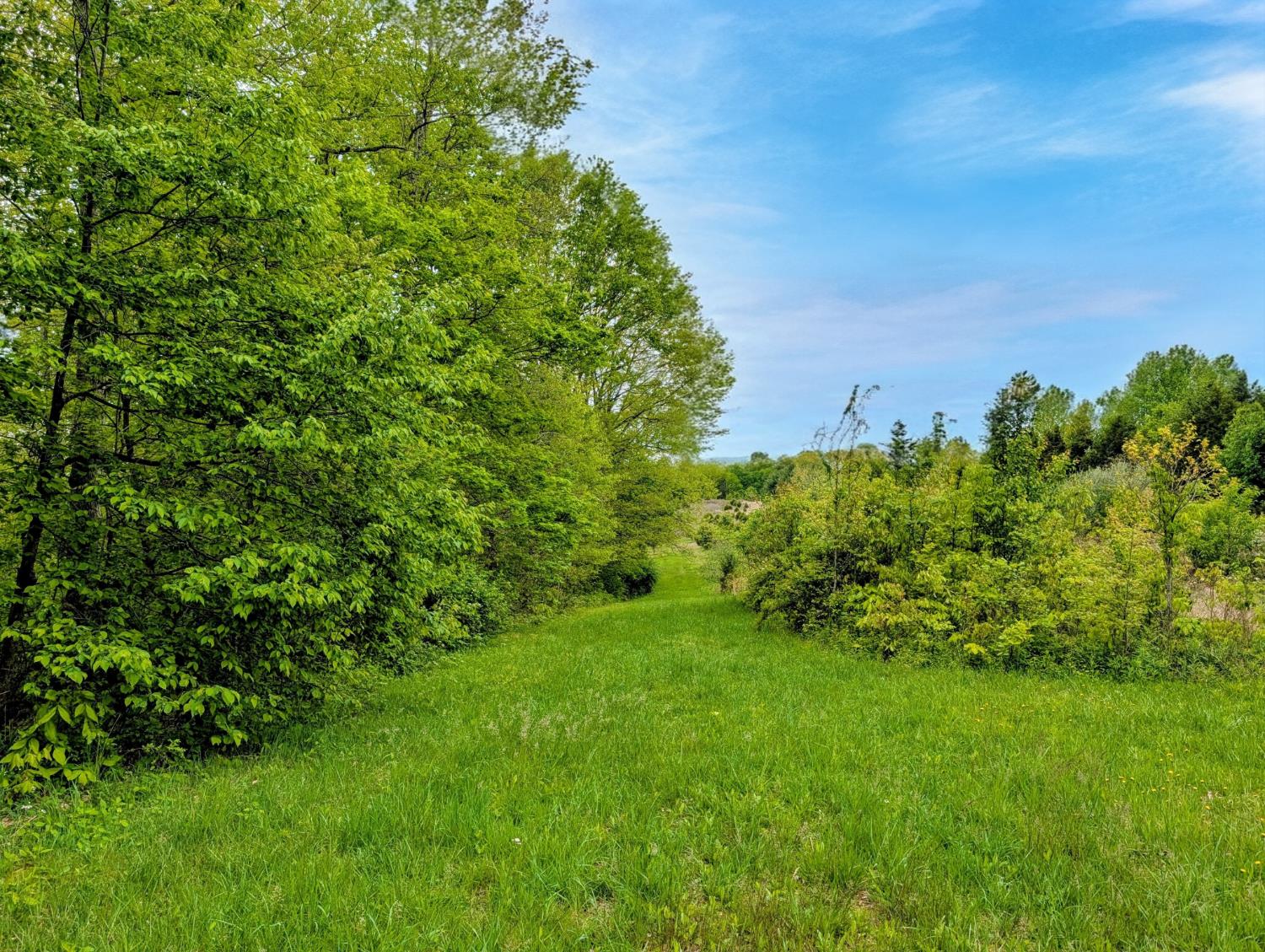 0 Longbranch Road Moores Hill, IN 47032 - Photo 12 of 25