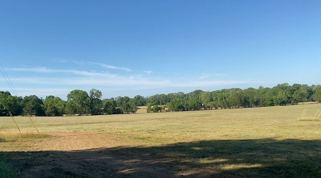 1644 Hamilton Chambers Road Lebanon, TN 37087 - Photo 6 of 11 a view of a lake from a yard