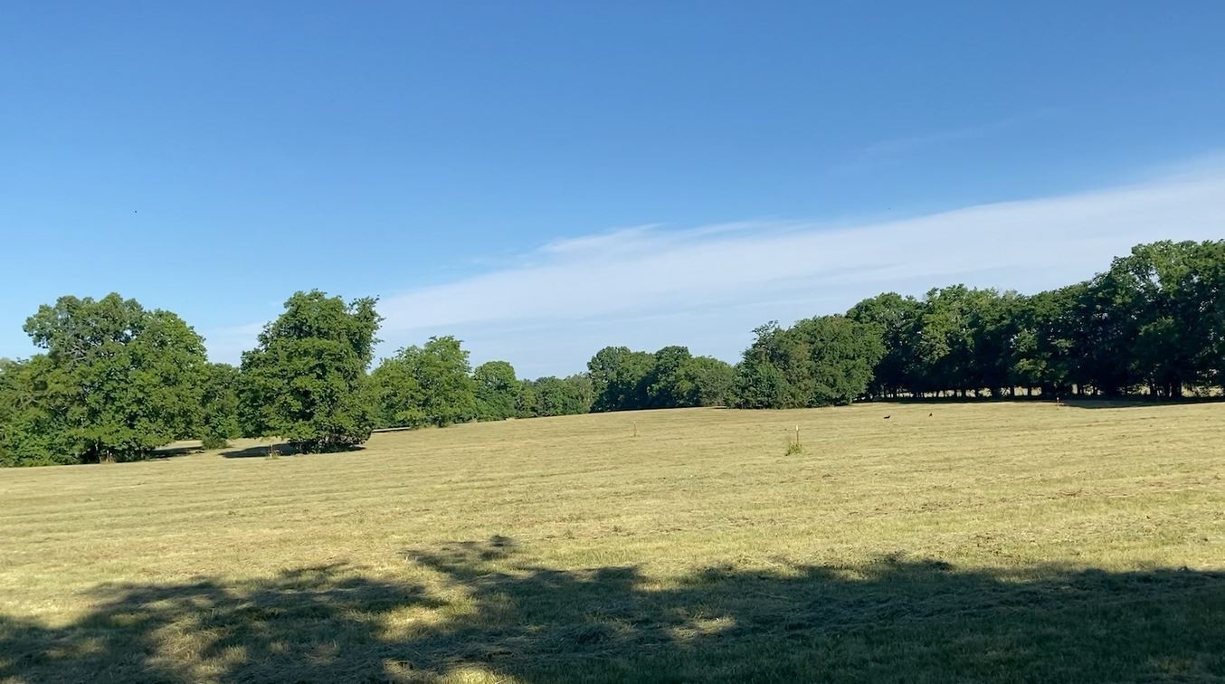 1644 Hamilton Chambers Road Lebanon, TN 37087 - Photo 10 of 11 a view of an ocean