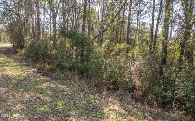 $20,000 | 647-649 Hillsborough Avenue, Florahome, FL 32140