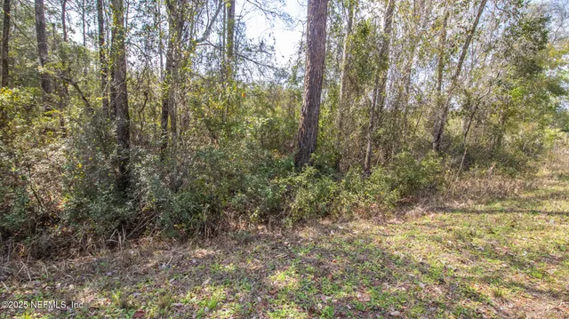 $20,000 | 647-649 Hillsborough Avenue, Florahome, FL 32140