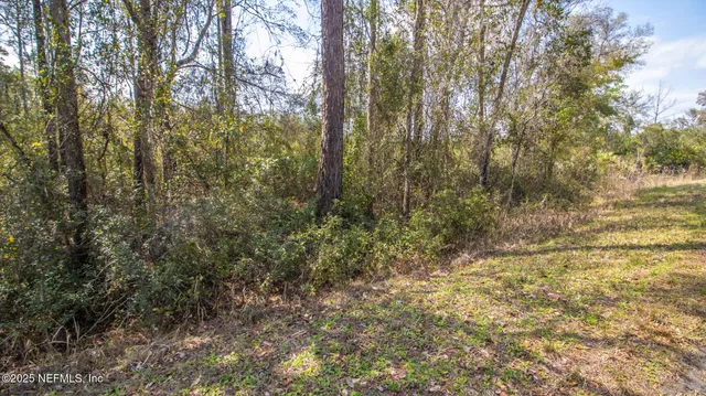 $20,000 | 647-649 Hillsborough Avenue, Florahome, FL 32140