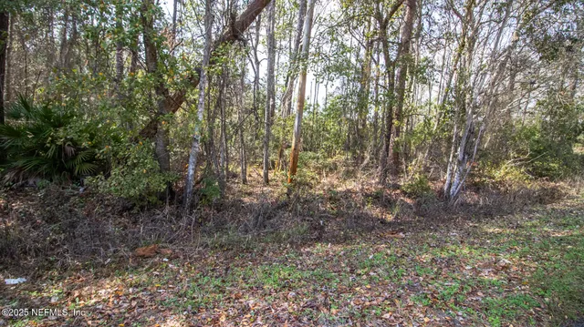 $20,000 | 647-649 Hillsborough Avenue, Florahome, FL 32140