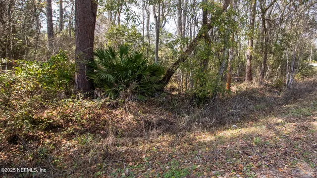 $20,000 | 647-649 Hillsborough Avenue, Florahome, FL 32140