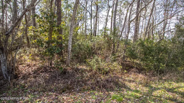 $20,000 | 647-649 Hillsborough Avenue, Florahome, FL 32140