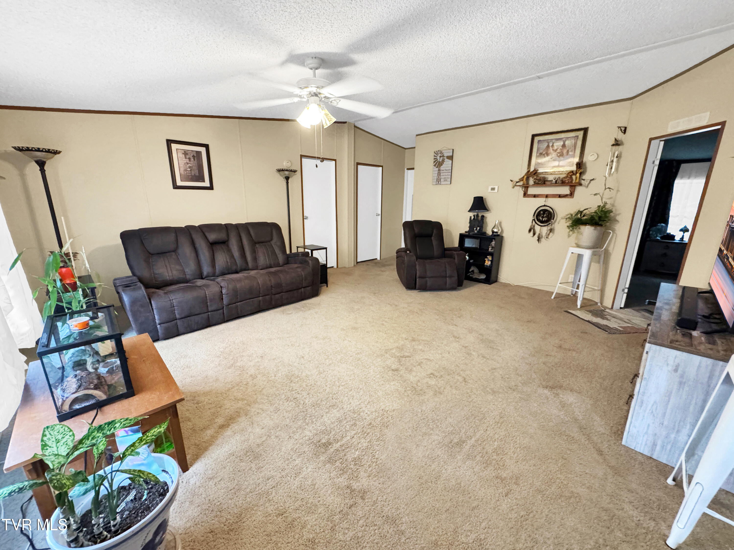 3675 Glen Alpine Road Kingsport, TN 37660 - Photo 3 of 32 IMG_5110