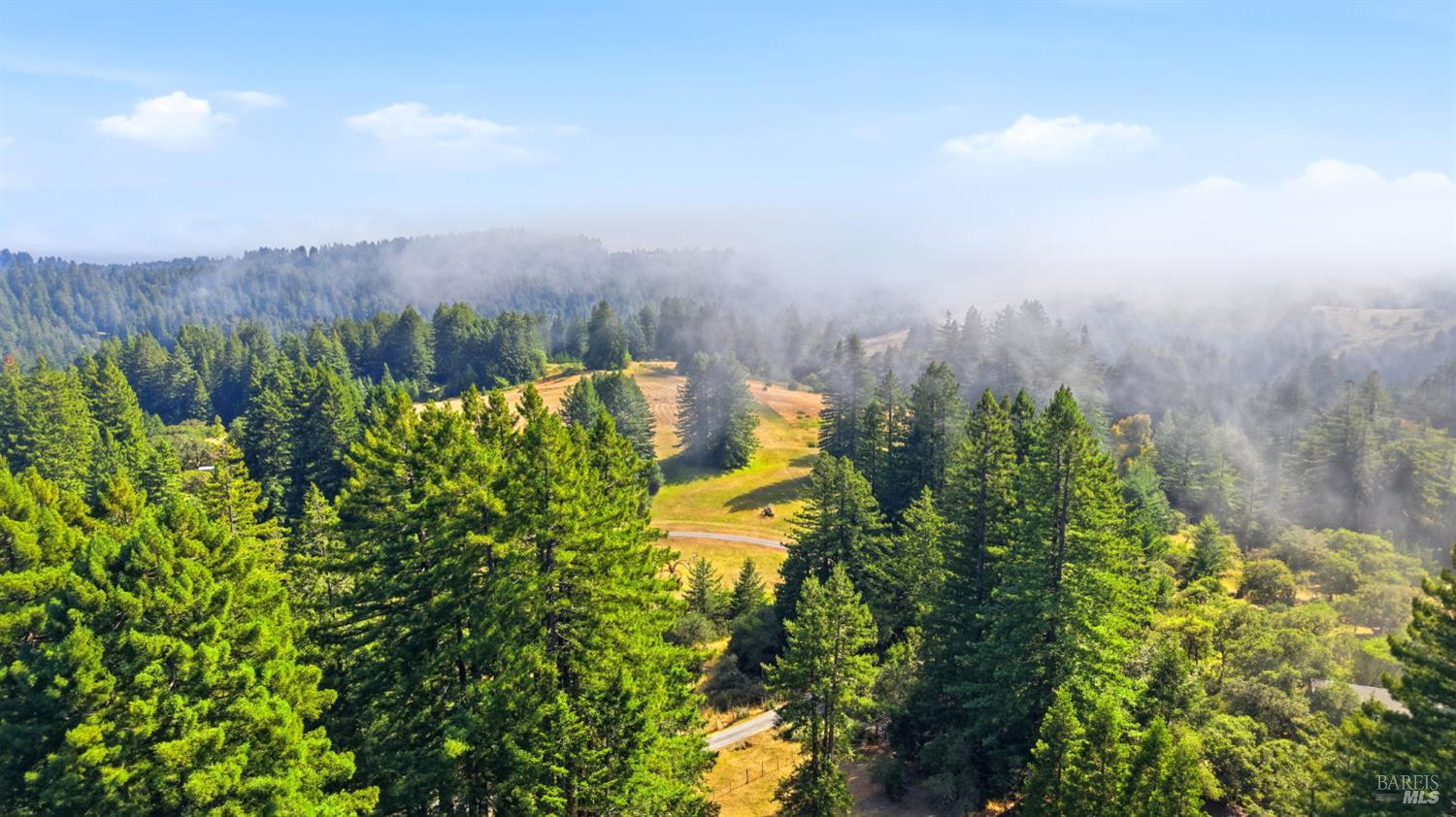 17375 Willow Creek Road Occidental, CA 95465 - Photo 93 of 94