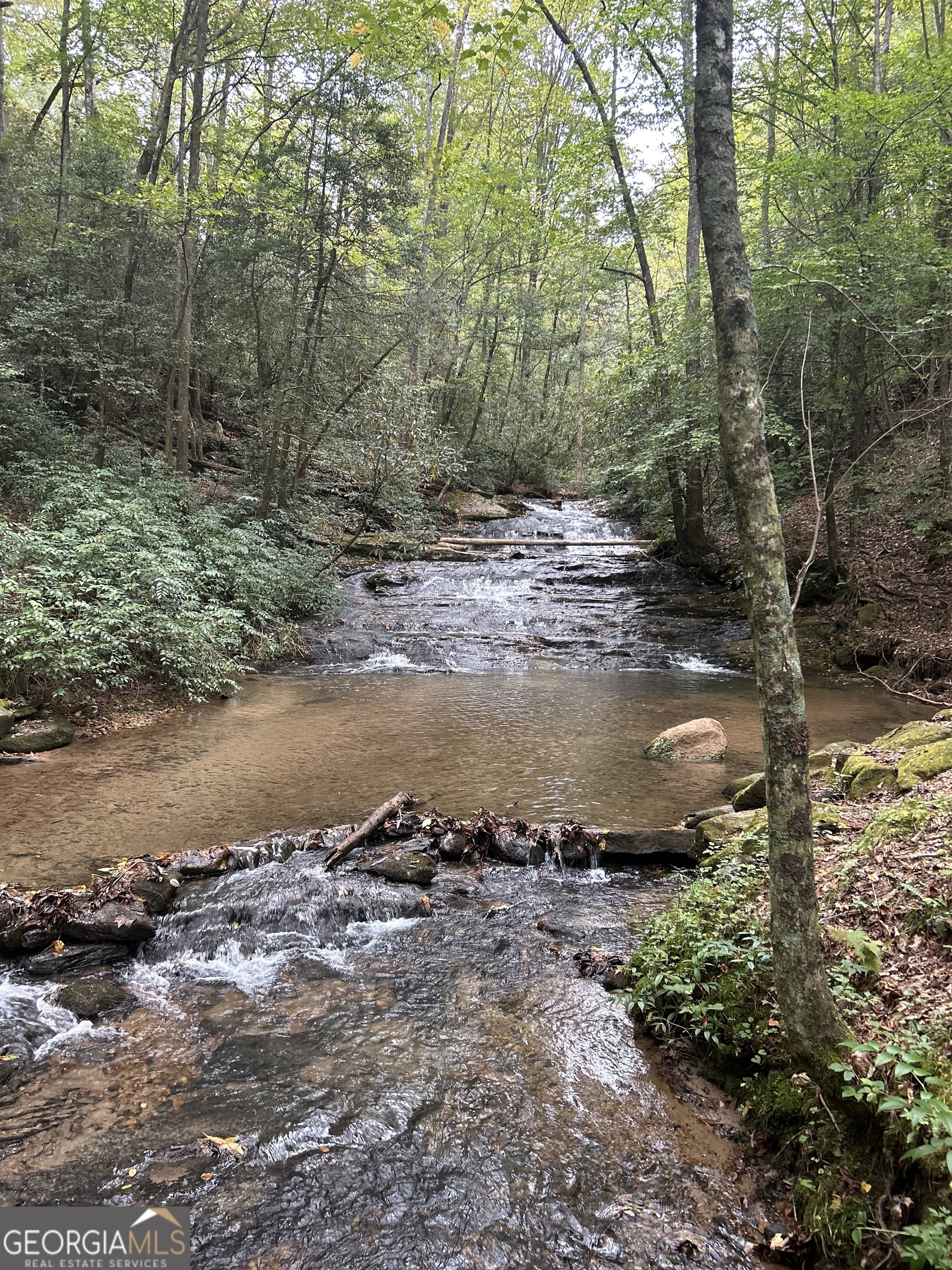 0 Lower Gap Road, Unit LOWR GAP Sautee Nacoochee, GA 30571 - Photo 12 of 14 a view of a lake with green space