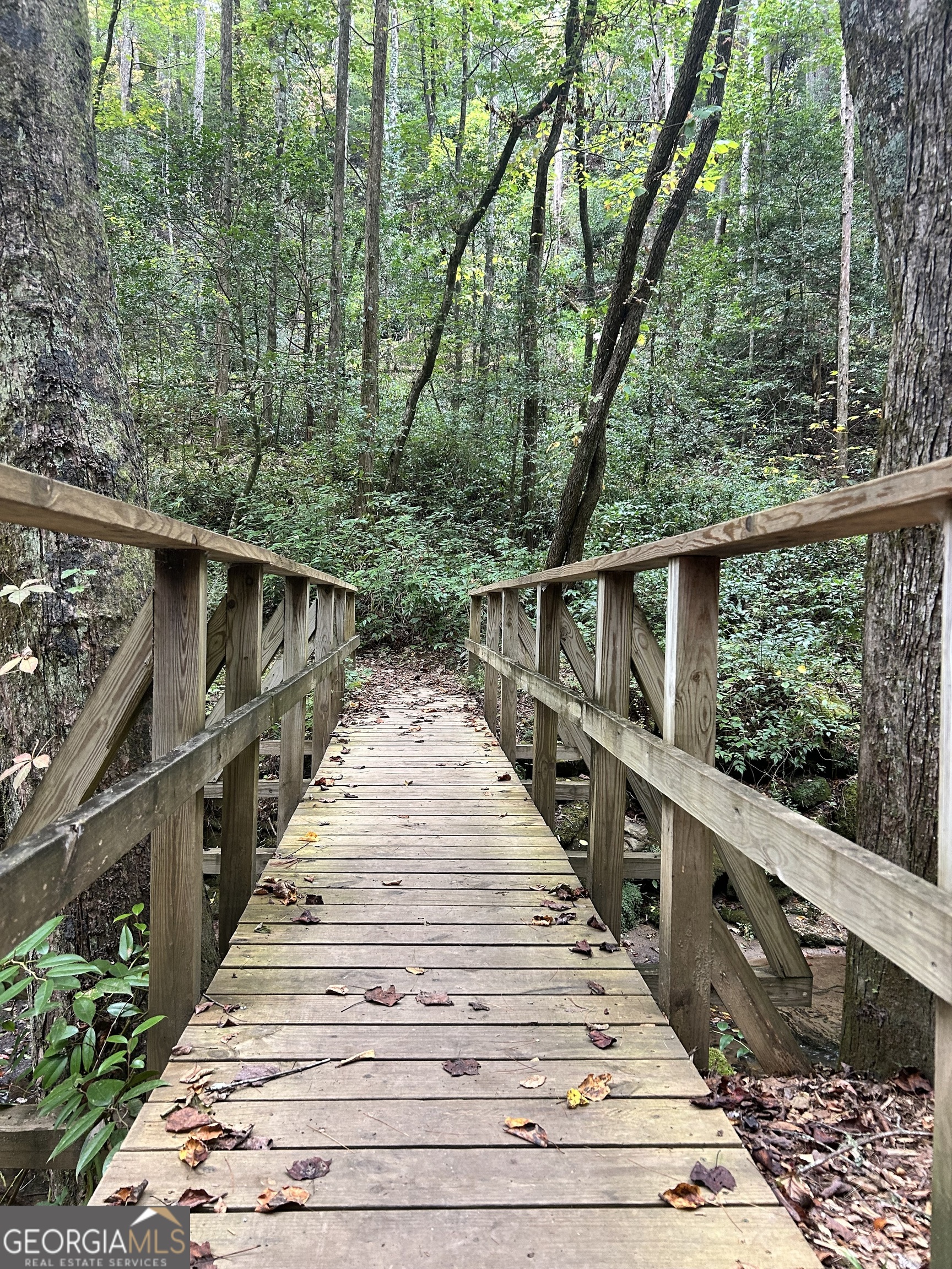 0 Lower Gap Road, Unit LOWR GAP Sautee Nacoochee, GA 30571 - Photo 13 of 14 a view of balcony and yard