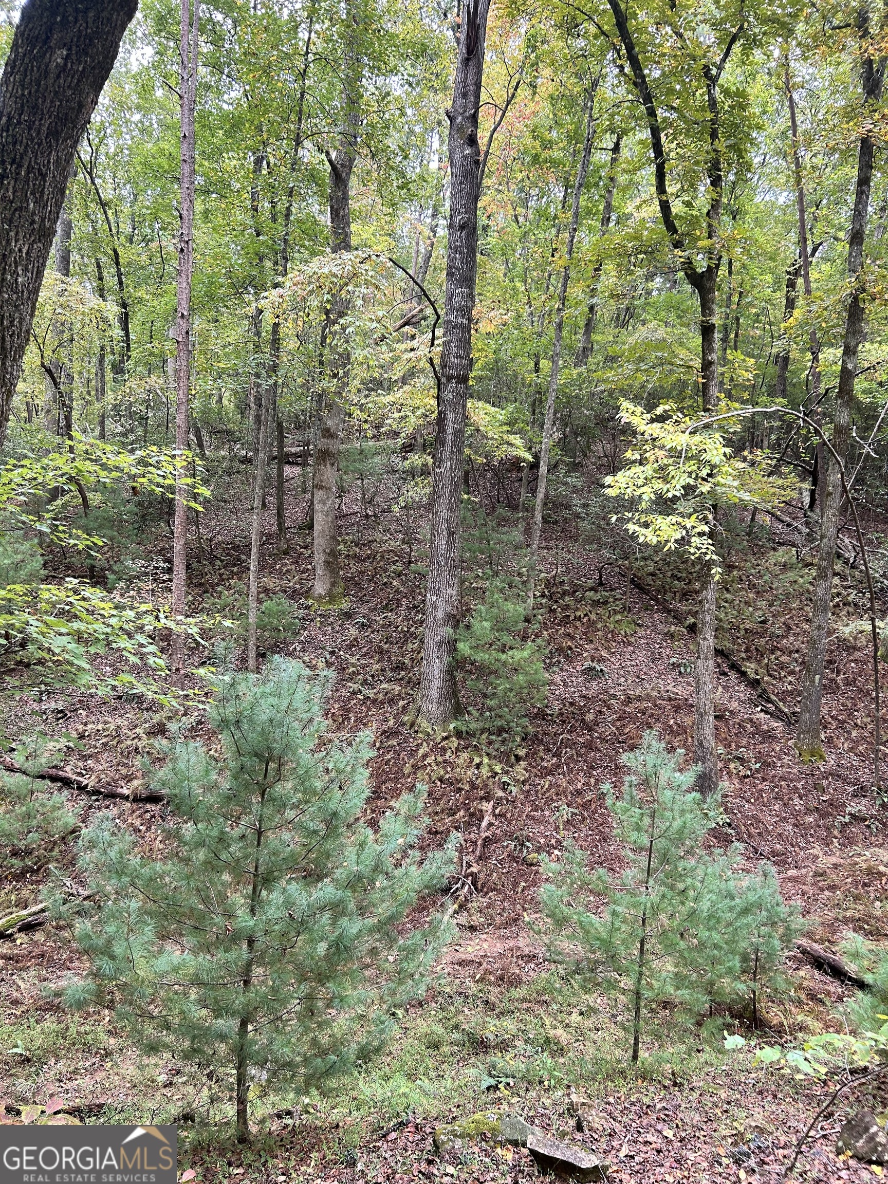 0 Lower Gap Road, Unit LOWR GAP Sautee Nacoochee, GA 30571 - Photo 2 of 14 a backyard of a house with lots of green space and garden