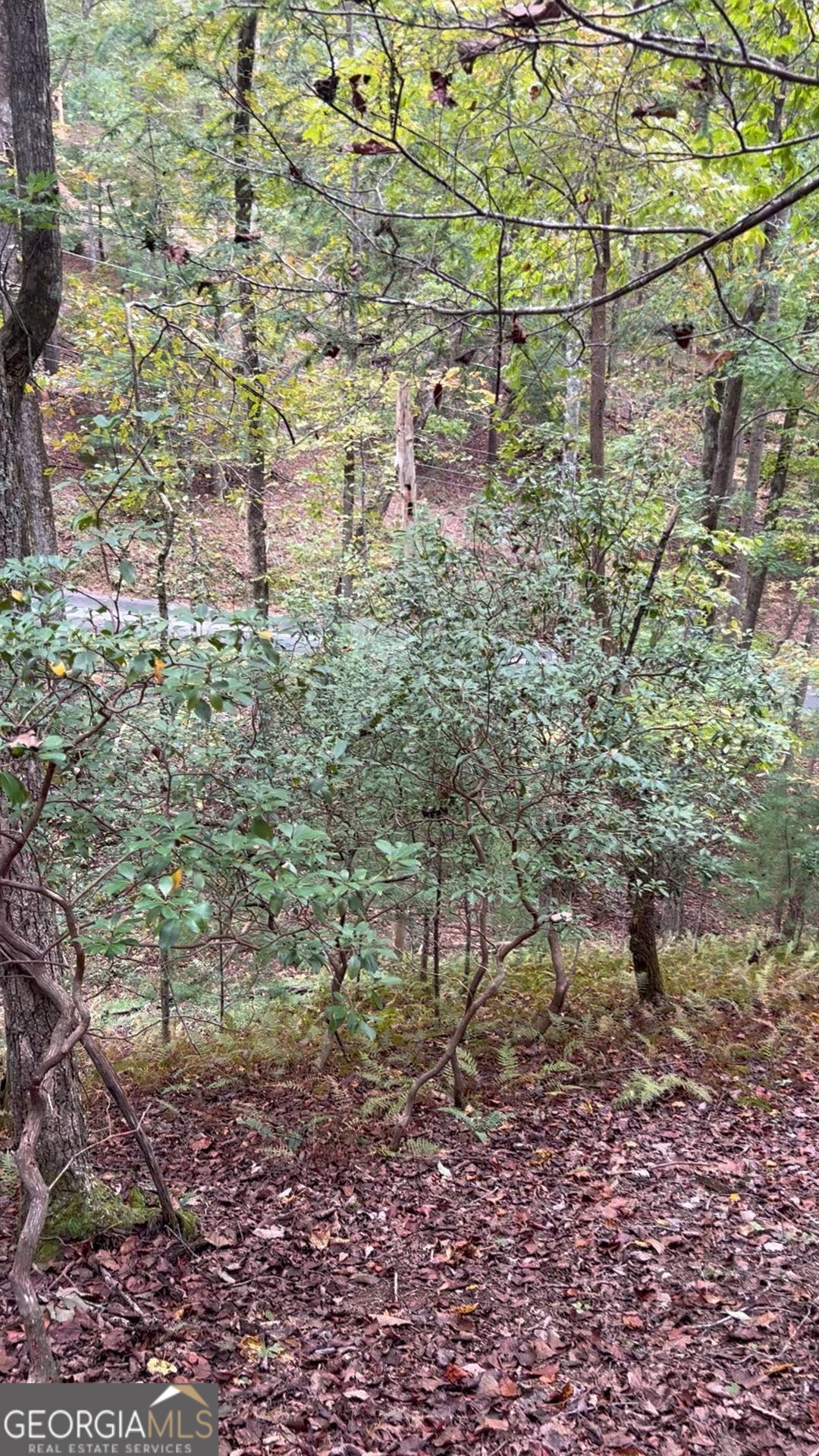 0 Lower Gap Road, Unit LOWR GAP Sautee Nacoochee, GA 30571 - Photo 4 of 14 a view of a yard with a tree