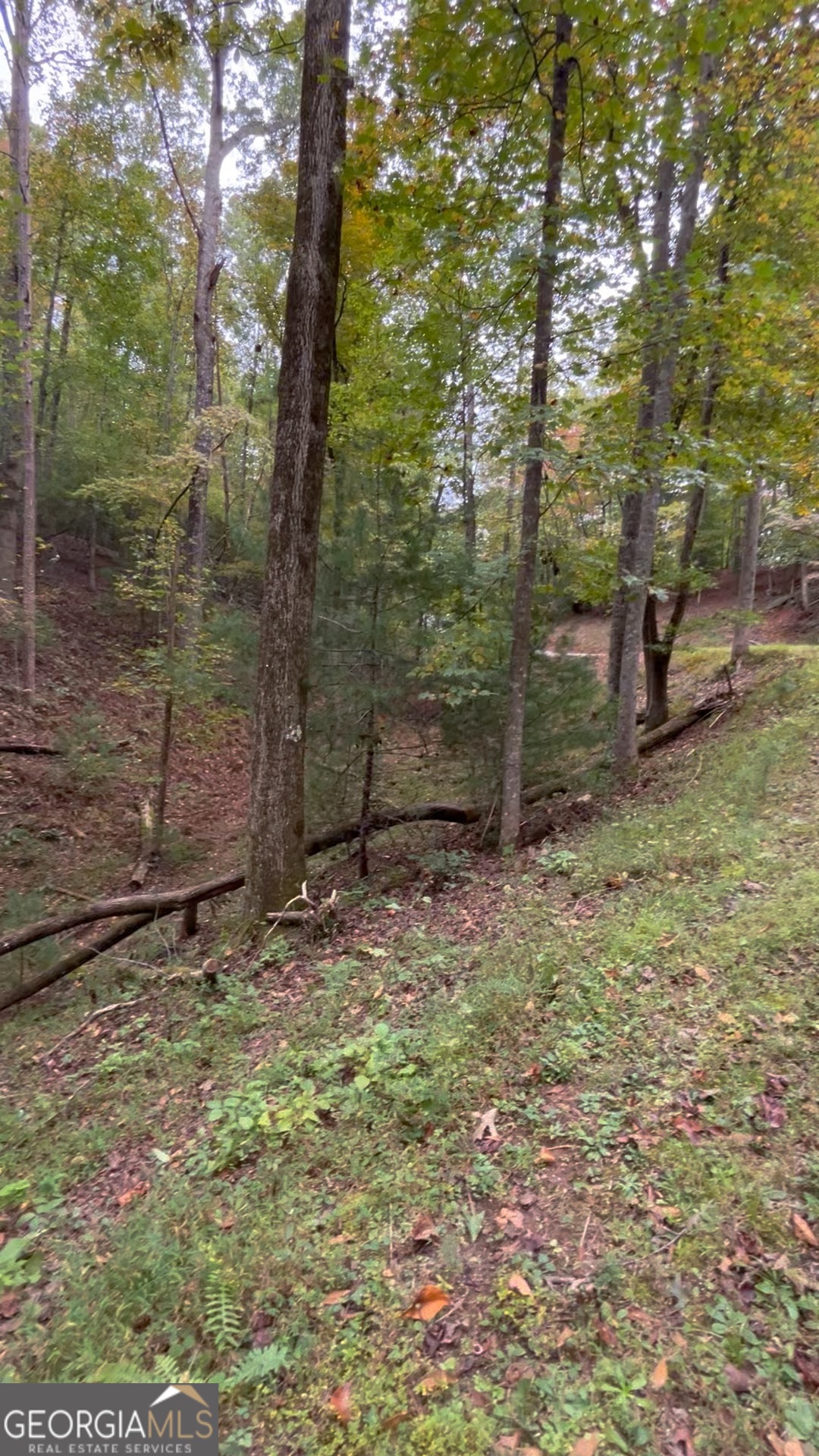 0 Lower Gap Road, Unit LOWR GAP Sautee Nacoochee, GA 30571 - Photo 5 of 14 a backyard of a house with lots of green space