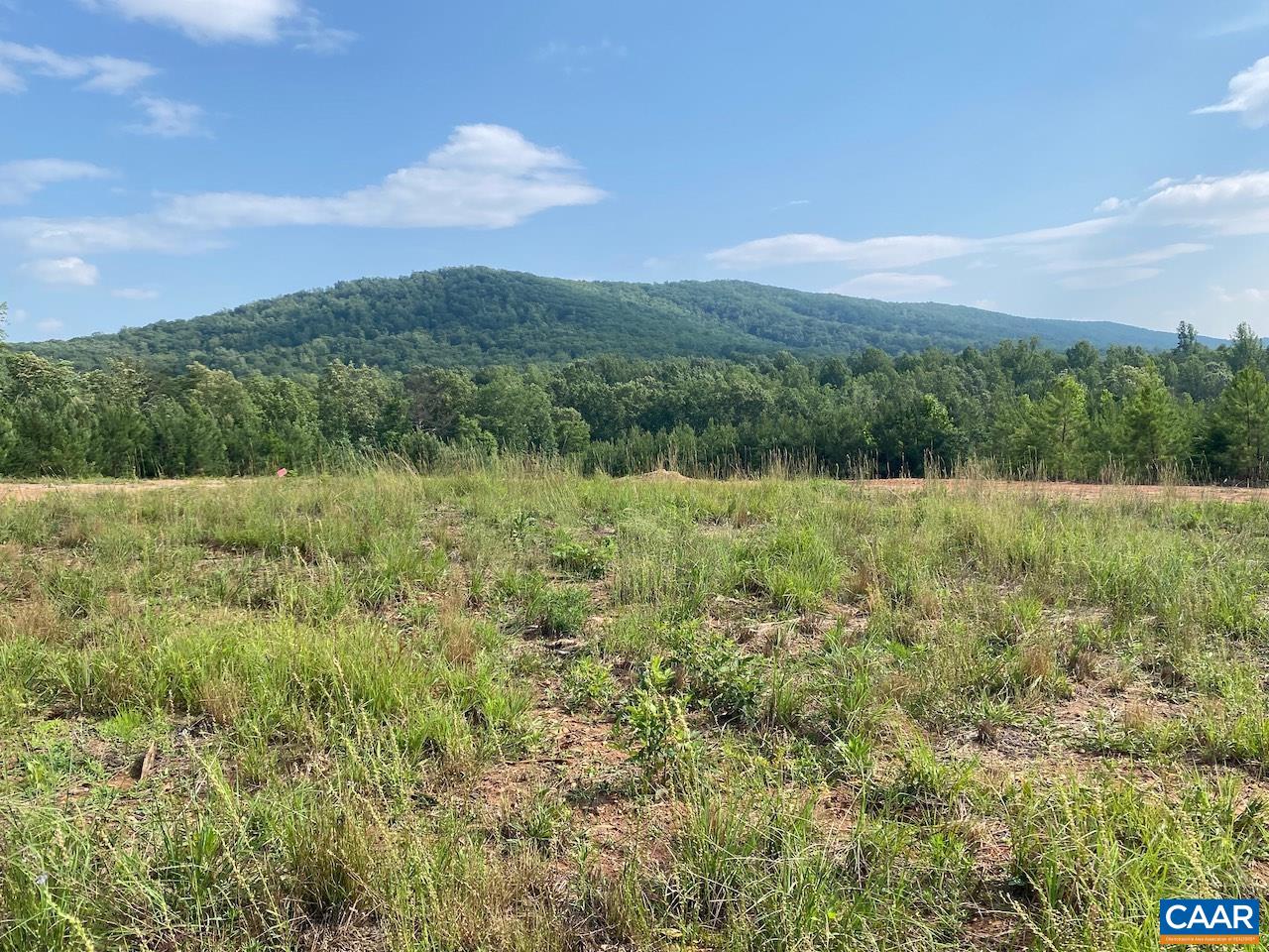 Findlay Mountain Road Shipman, VA 22971 - Photo 6 of 21 Gallery Image 6