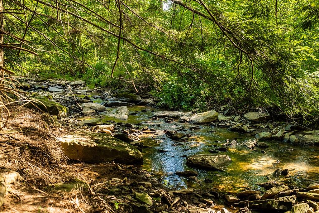 262 Wida Road Indiana, PA 15701 - Photo 20 of 20 Creek
