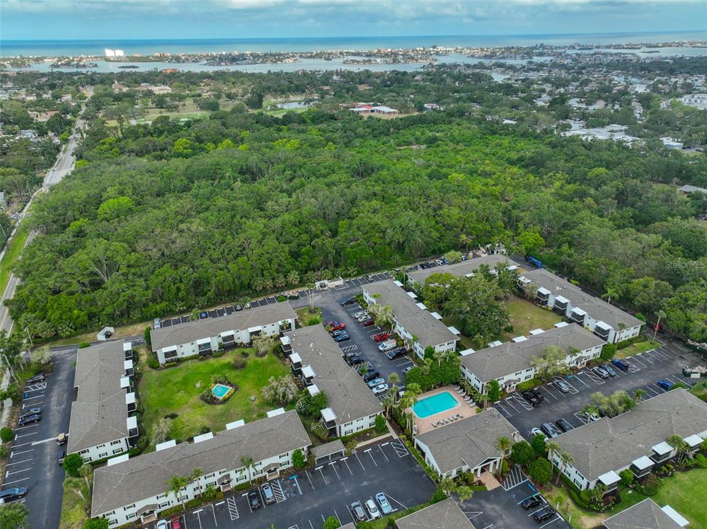 13125 Wilcox Road, Unit 16202 Largo, FL 33774 - Photo 36 of 37 an aerial view of a house with a yard