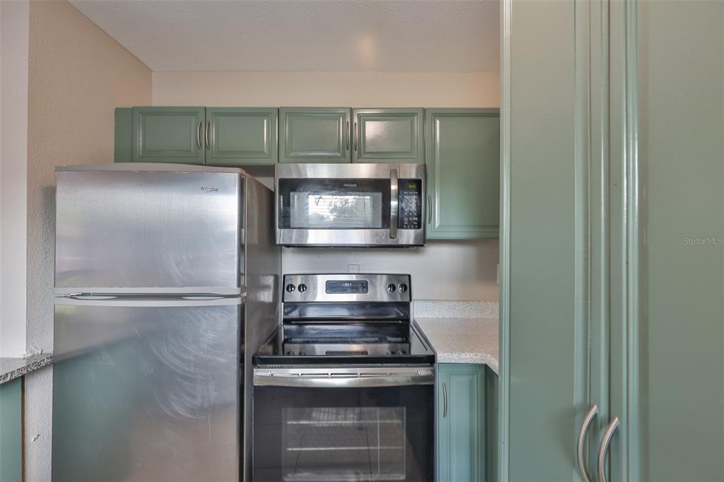 13125 Wilcox Road, Unit 16202 Largo, FL 33774 - Photo 8 of 37 a kitchen with a refrigerator and a microwave