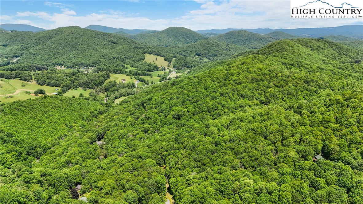 T-1 Grace Mountain Road Todd, NC 28684 - Photo 13 of 28 a view of a lush green field with a mountain in the background