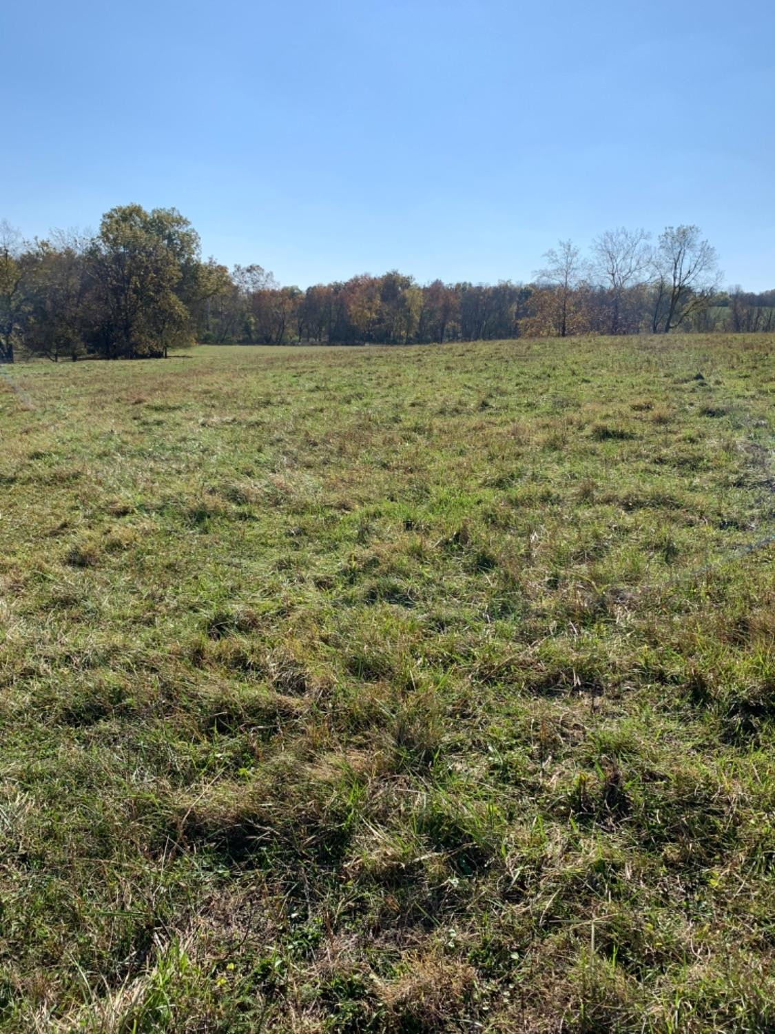1 Ashgrove Road, Unit LOT1A Nicholasville, KY 40356 - Photo 1 of 14 Listing Photo