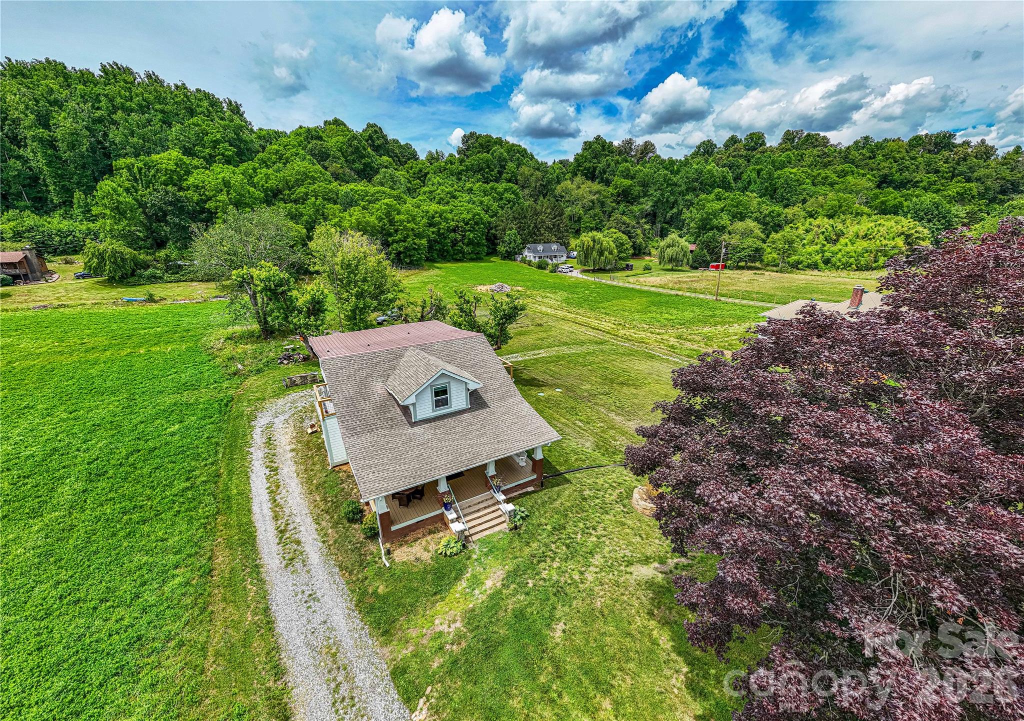 16 Riverside Drive Barnardsville, NC 28709 - Photo 4 of 44