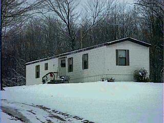 60680 Woodlake Road Three Rivers, MI 49093 - Photo 1 of 1 Primary Photo