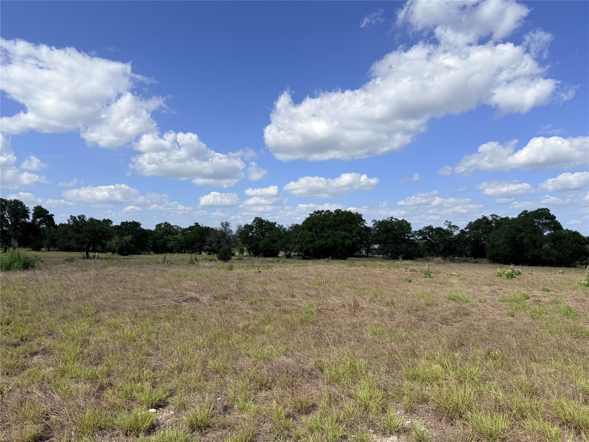 485 Inspiration Loop Comfort, TX 78013 - Photo 5 of 22 A spacious, open field with mature trees bordering the horizon under a bright sky.