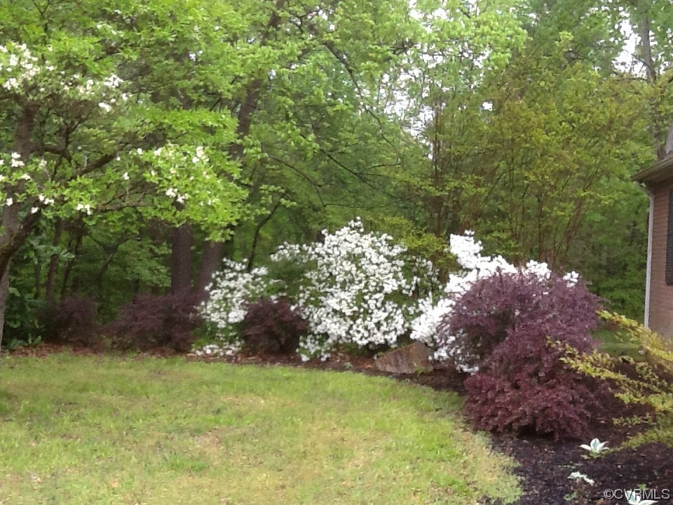 13125 Scotchtown Road Beaverdam, VA 23015 - Photo 2 of 38 Gallery Image 2