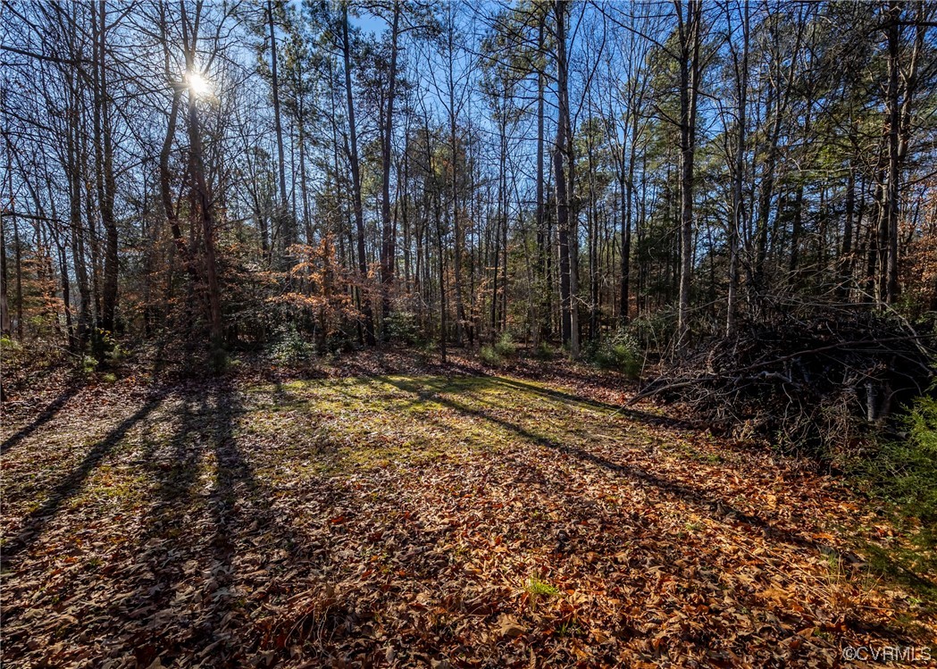 13125 Scotchtown Road Beaverdam, VA 23015 - Photo 28 of 38 Gallery Image 28