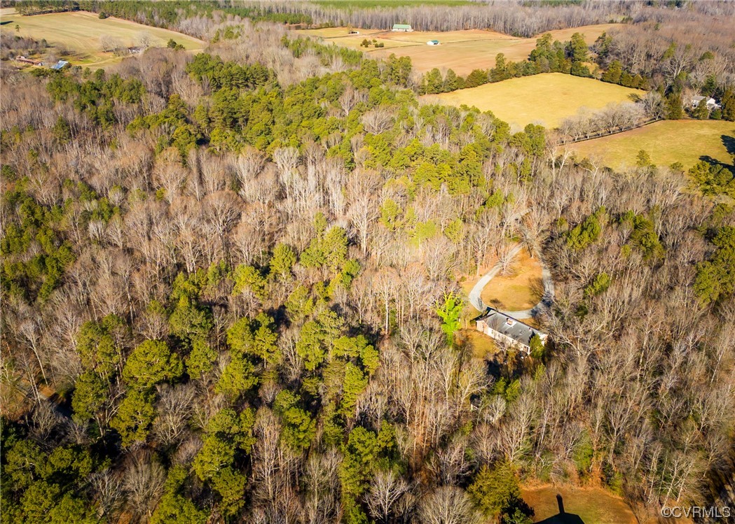 13125 Scotchtown Road Beaverdam, VA 23015 - Photo 37 of 38 Gallery Image 37