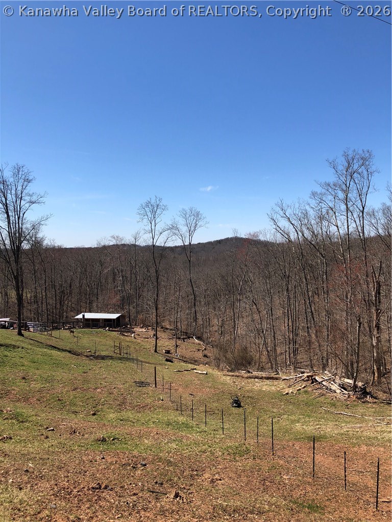 1837 Jones Ridge Road Gandeeville, WV 25243 - Photo 5 of 21 Gallery Image 5