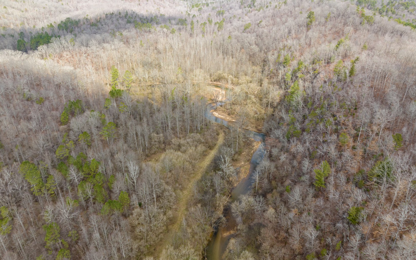 709 High Knoll Road Jasper, GA 30143 - Photo 9 of 46 Additional View