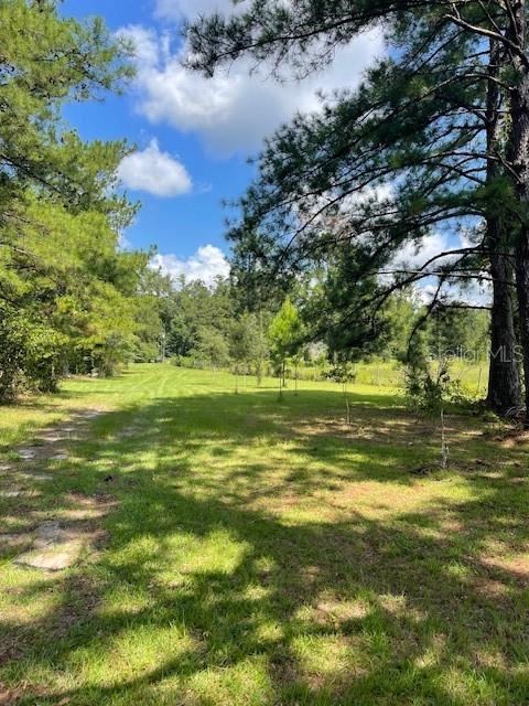 10918 Southwest Archer Road Gainesville, FL 32608 - Photo 2 of 2 Gallery Image 2