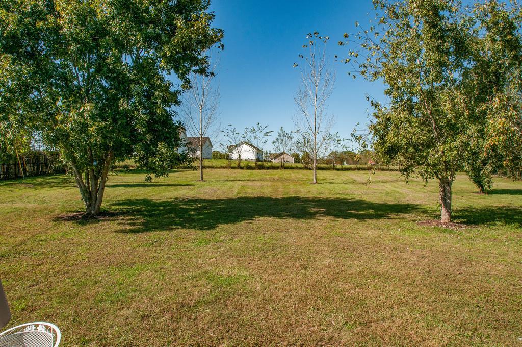 4160 Lunns Store Road Lewisburg, TN 37091 - Photo 22 of 23 Gallery Image 22