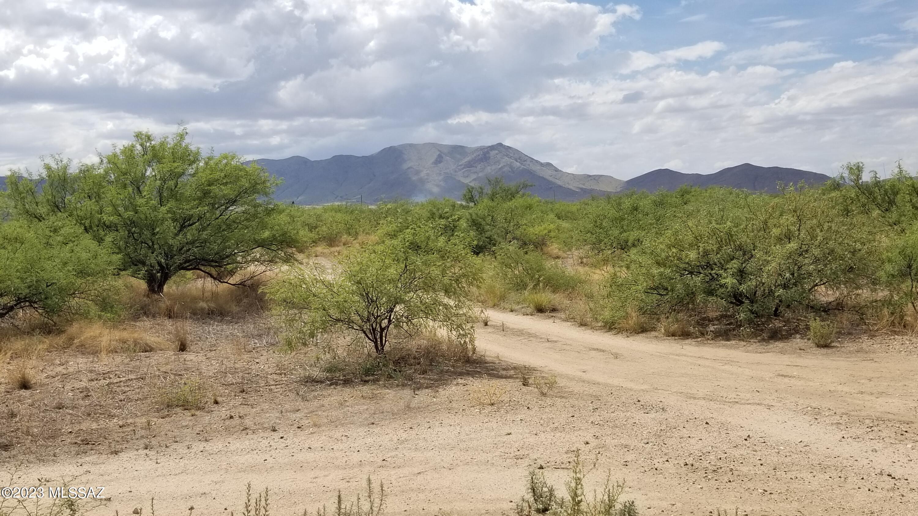 1-lot West Birch Road, Unit 8 Cochise, AZ 85606 - Photo 8 of 11