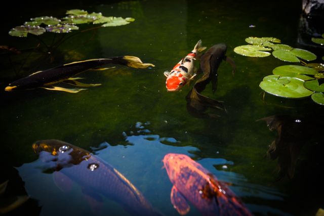 $26,500,000 | 62-3680 Ki'Eki'Ena, Kamuela, HI 96743