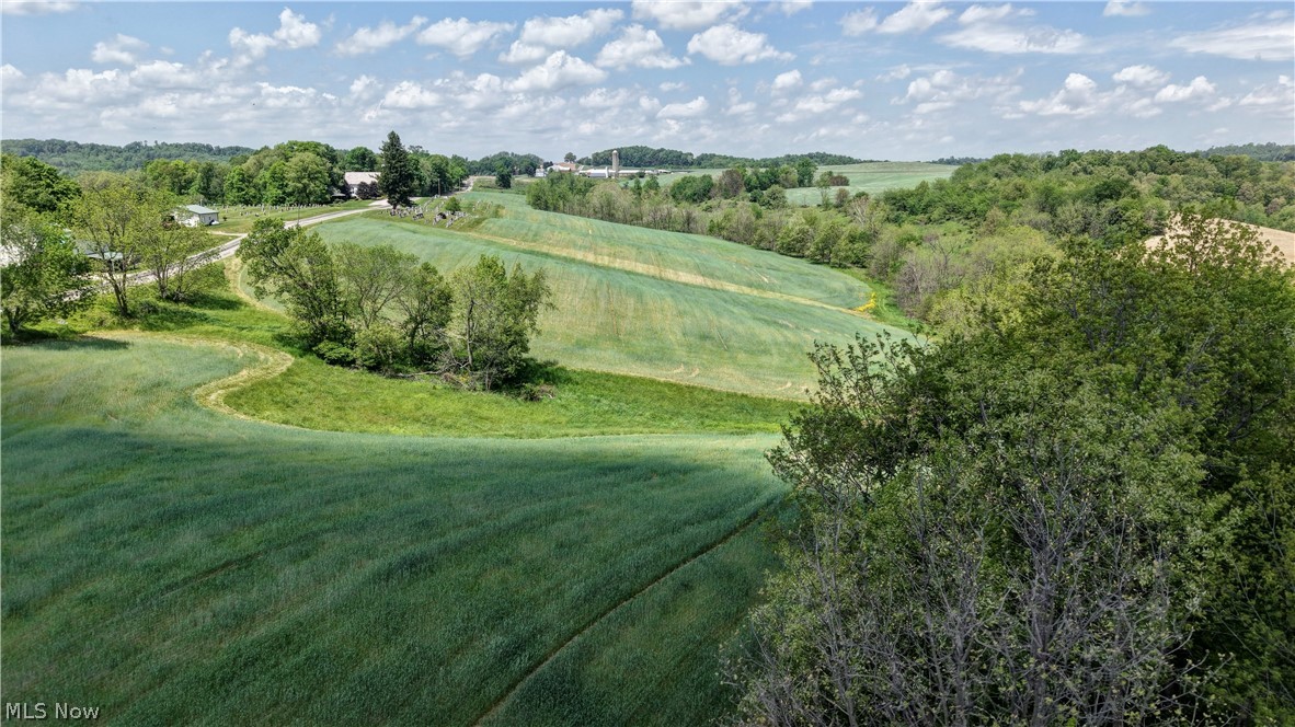 Renner Road Stone Creek, OH 43840 - Photo 12 of 13