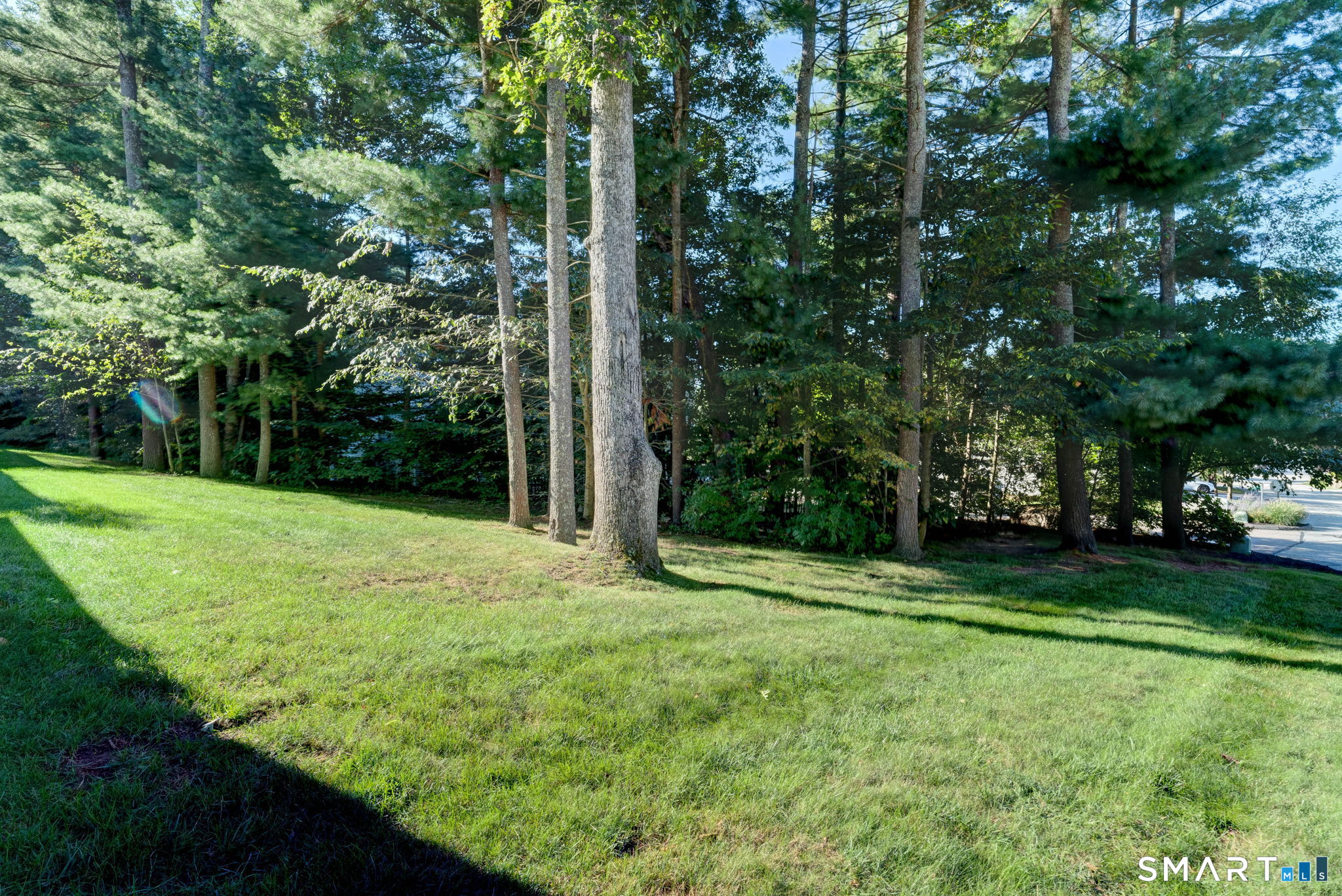 46 Samuel Lane, Unit 46 Mansfield, CT 06250 - Photo 4 of 40