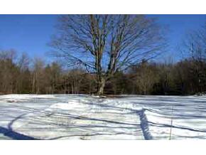 45 Old Milford Road Brookline, NH 03033 - Photo 2 of 3