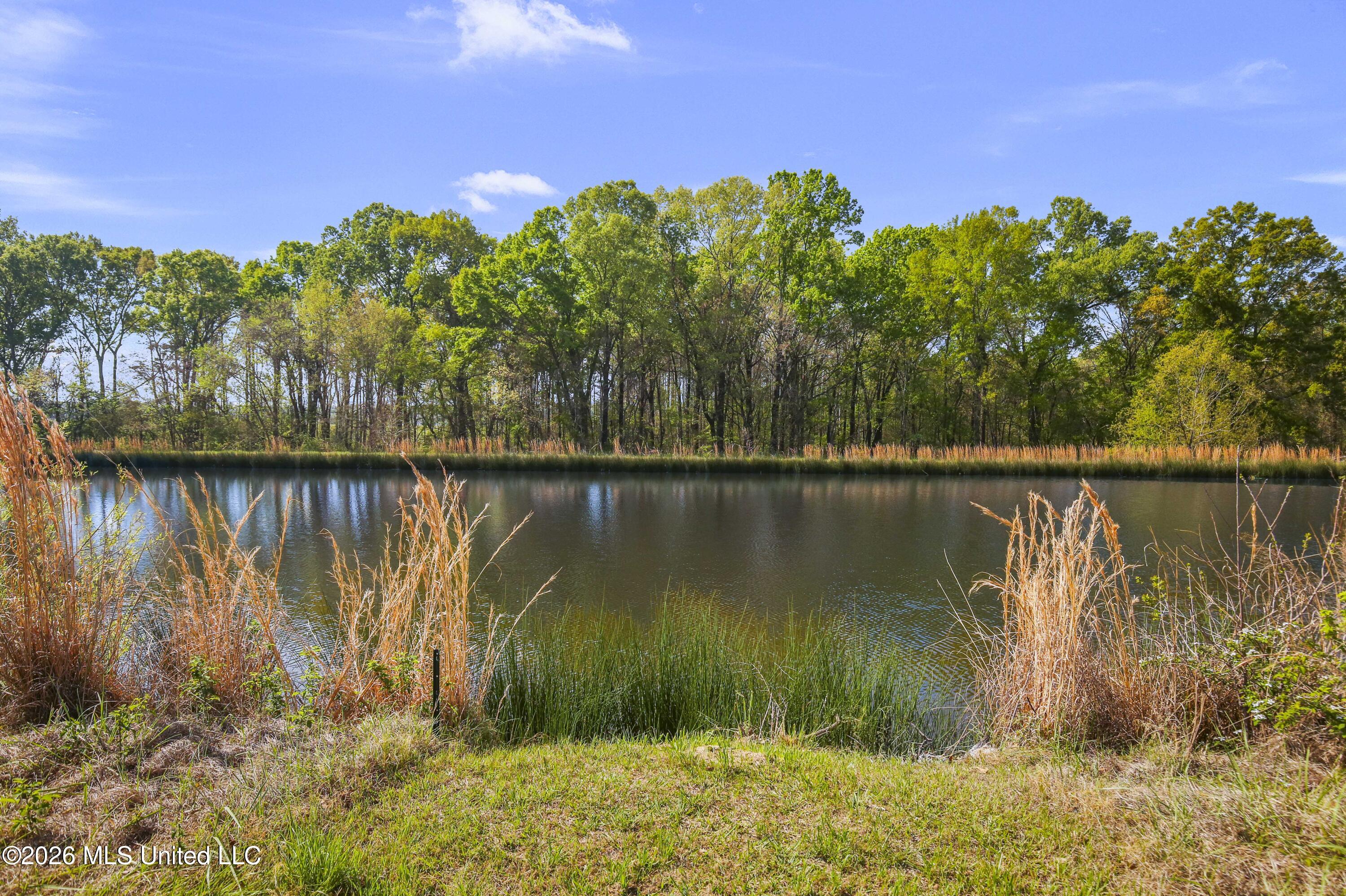 175 Shore View Drive Madison, MS 39110 - Photo 60 of 67 59-print-175 Shore View-59