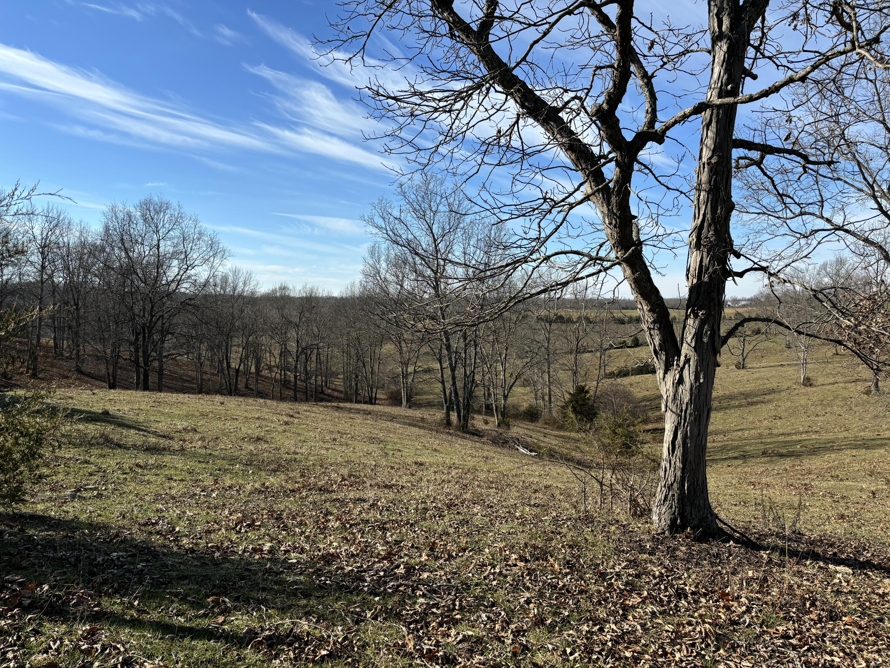 4970 Keefer Road Corinth, KY 41010 - Photo 9 of 9 Gallery Image 9