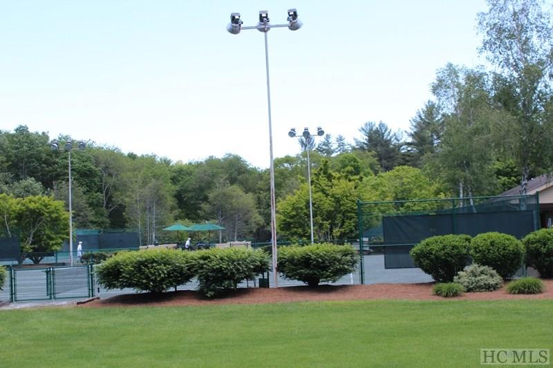 407 Overlook Road, Unit 2 Sapphire, NC 28774 - Photo 23 of 29 Gallery Image 23
