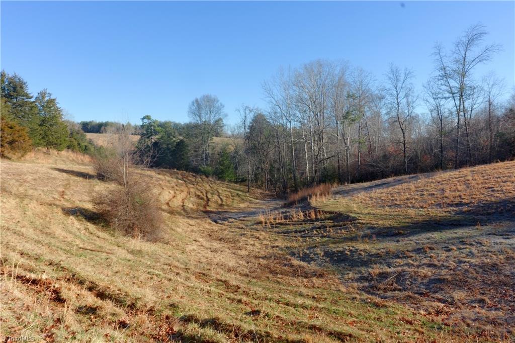 2 Roby Fulk Road Pinnacle, NC 27043 - Photo 3 of 24