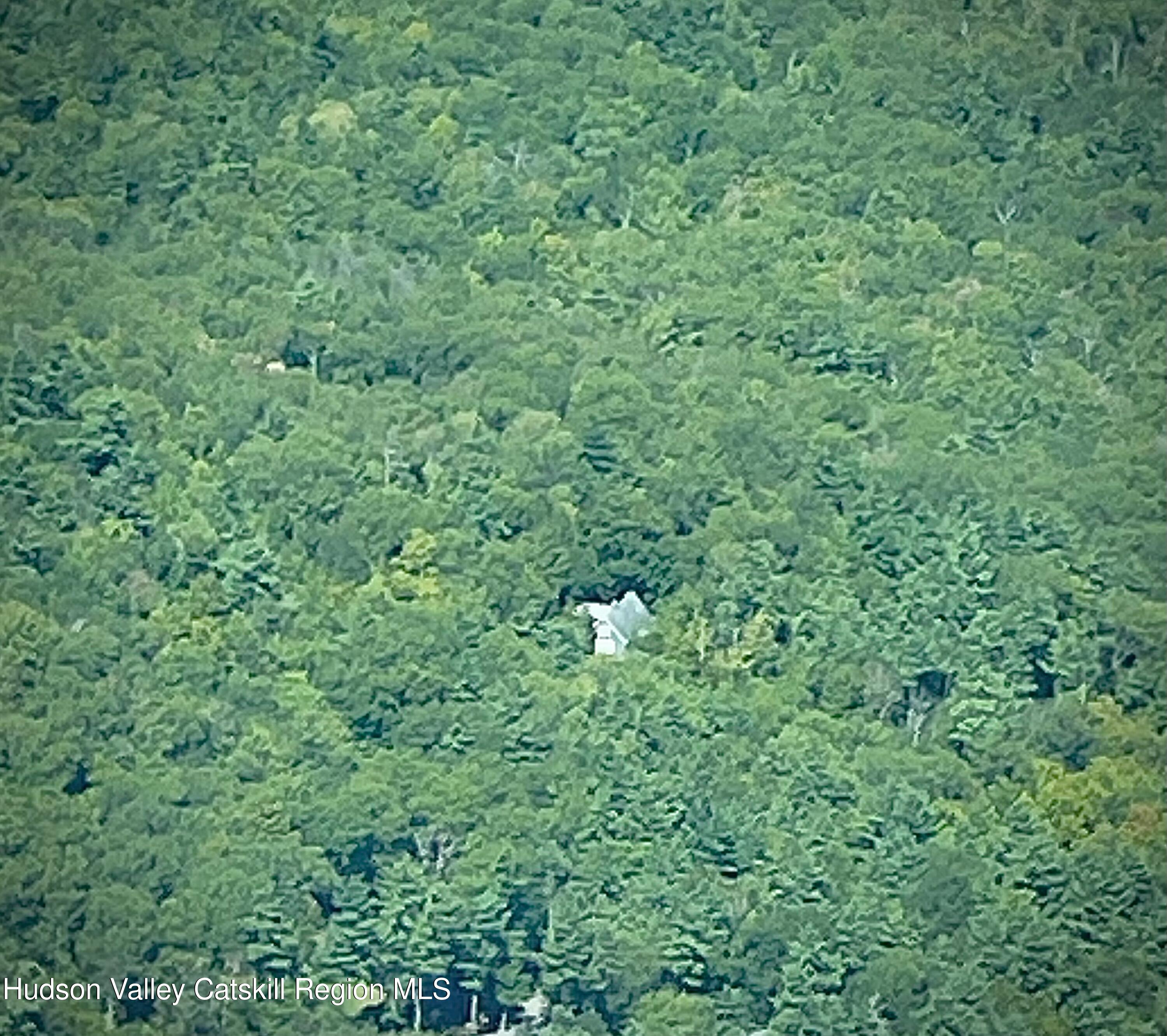 126 Storks Nest Road Round Top, NY 12473 - Photo 9 of 62 2854258274