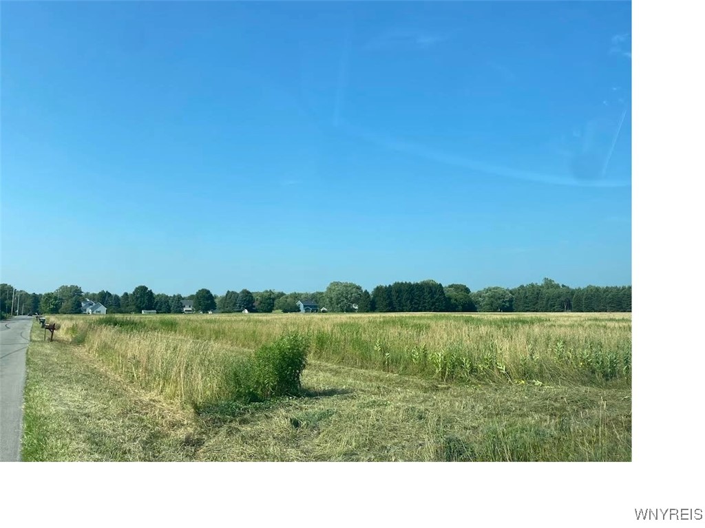 Angle Road Orchard Park, NY 14127 - Photo 1 of 3 Gallery Image 1